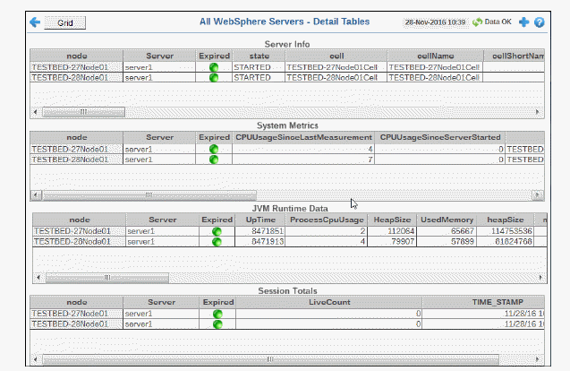 wsmon_allservers_detail.gif