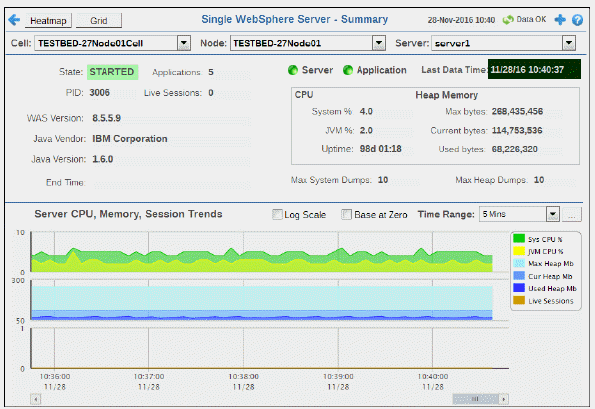 wsmon_oneserver_summ.gif